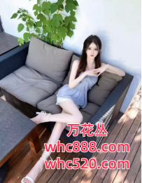 南海区桂城快餐200-洋洋