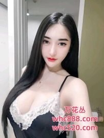 番禺-梅梅