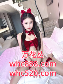 广州白云三元顶级5号油-涵涵