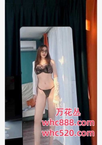 东莞-小雅西