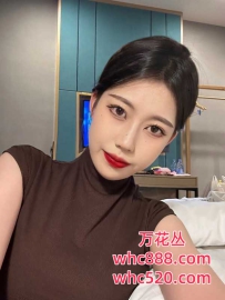 东莞大岭山高冷女神-小狐狸