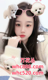黄埔-微微