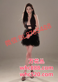 天河模特有姐妹可双飞-白鹿