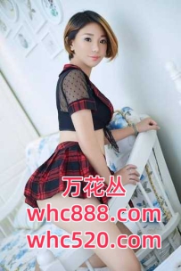 南海桂城性感御姐兼职-小悦