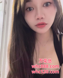 越秀-琳琳